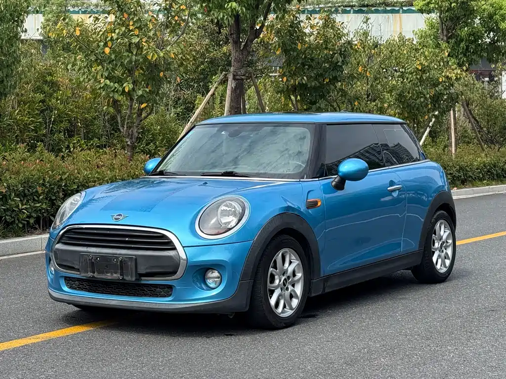MINI