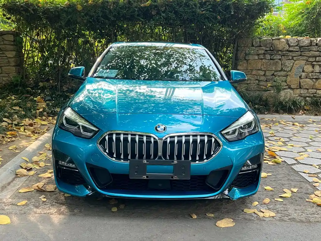 BMW 2 Series (Import) — миниатюра 2
