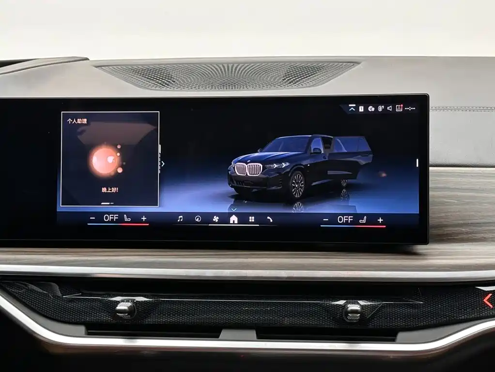 BMW X5 — миниатюра 13