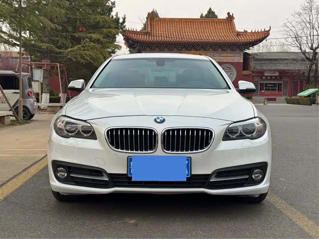 BMW 5 Series 5 2014 520Li Elegant