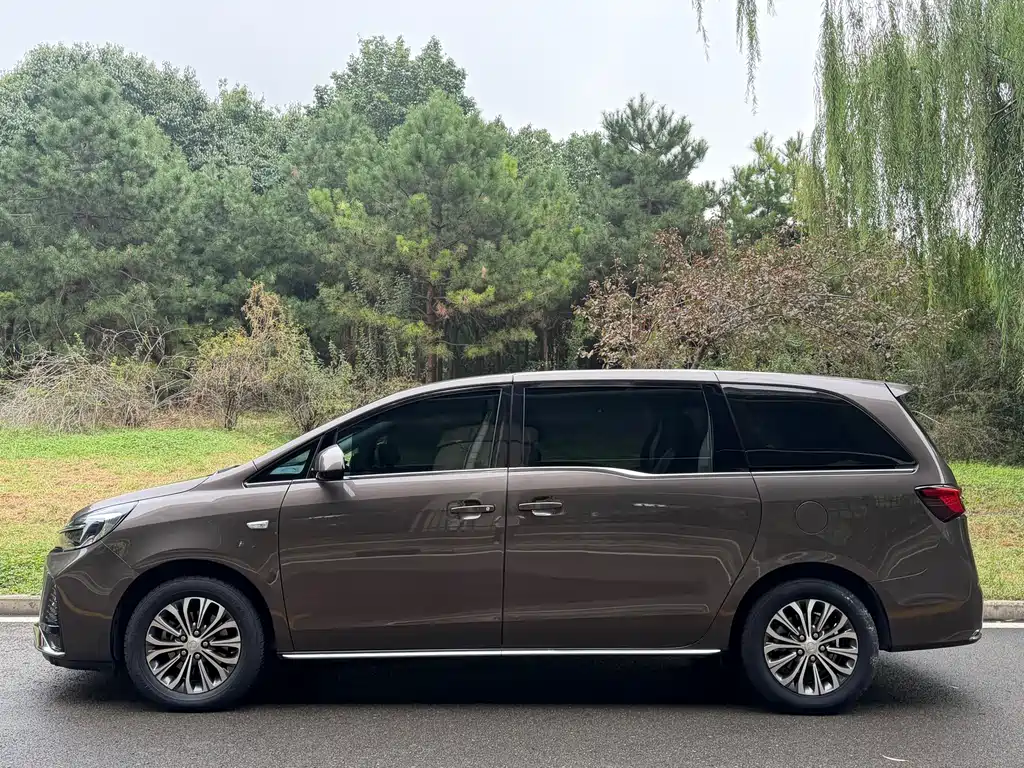 Buick GL8 — миниатюра 3