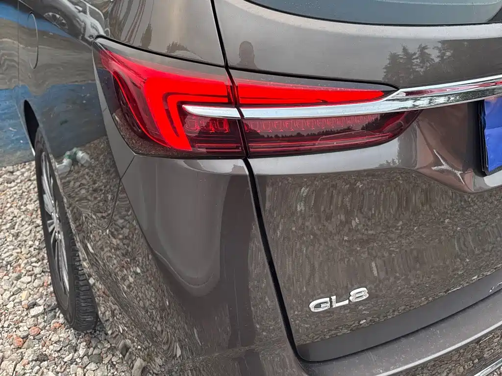 Buick GL8 — миниатюра 5
