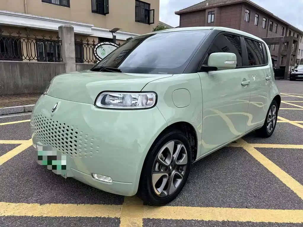 Ora Ora White Cat 2021