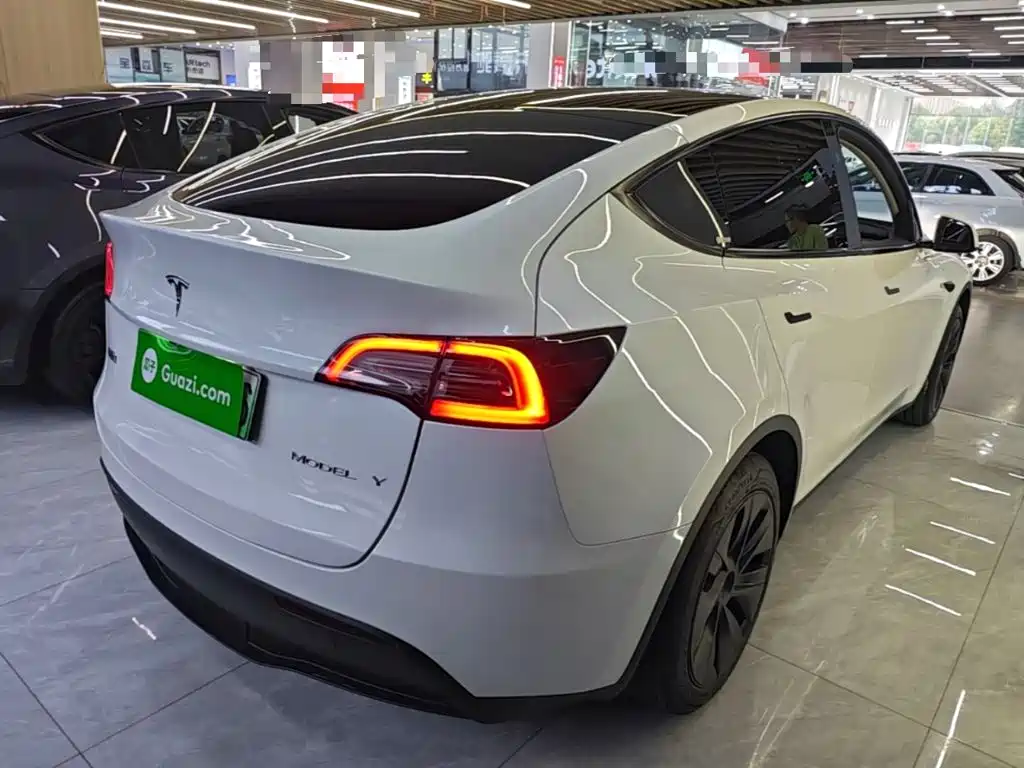 Tesla Model Y — миниатюра 7