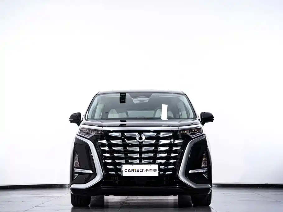 Denza Denza D9 — миниатюра 4