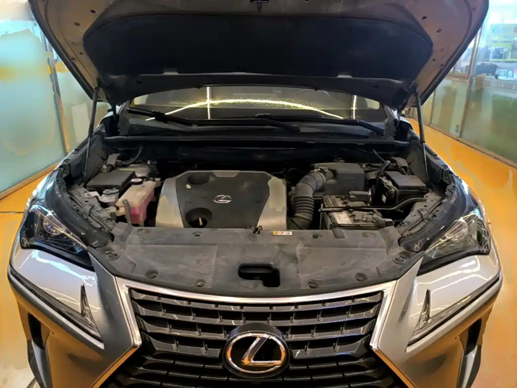 Lexus NX — миниатюра 20