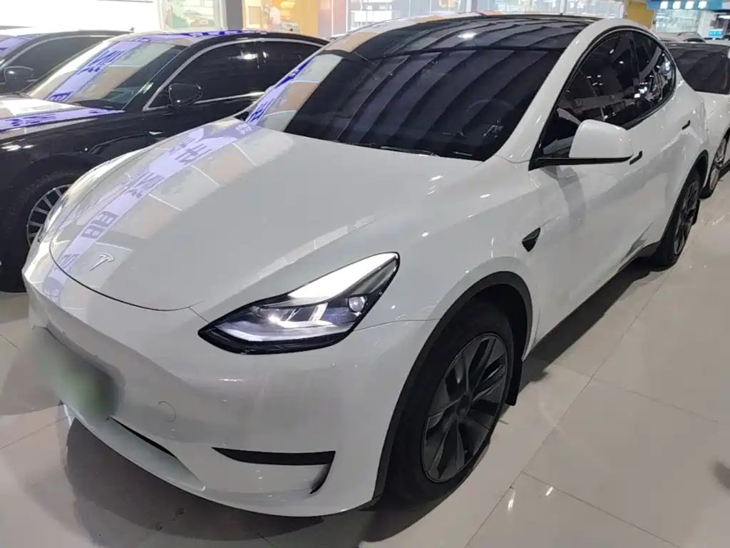 Tesla Model Y — миниатюра 2