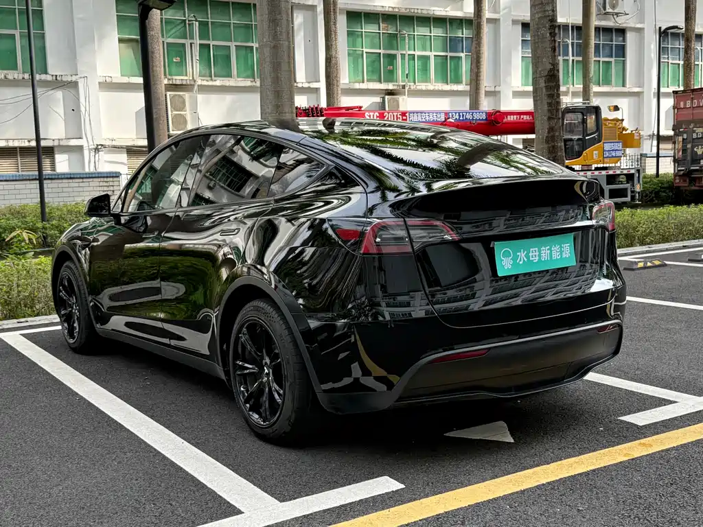 Tesla Model Y — миниатюра 11