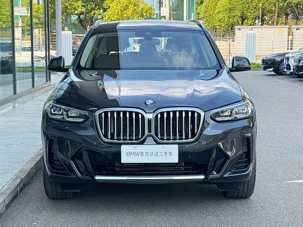 BMW X3 — миниатюра 2