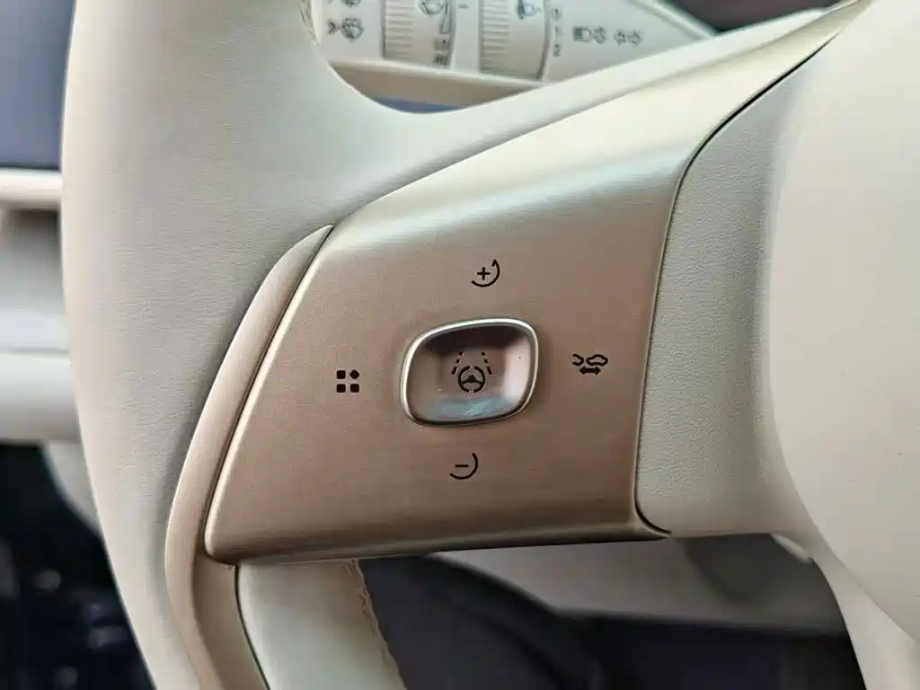 Buick Electra L7 — миниатюра 40