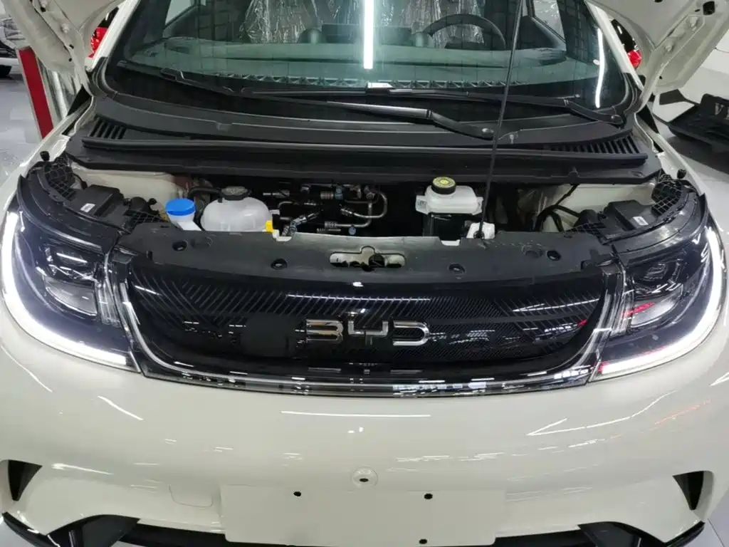 BYD Dolphin — миниатюра 20
