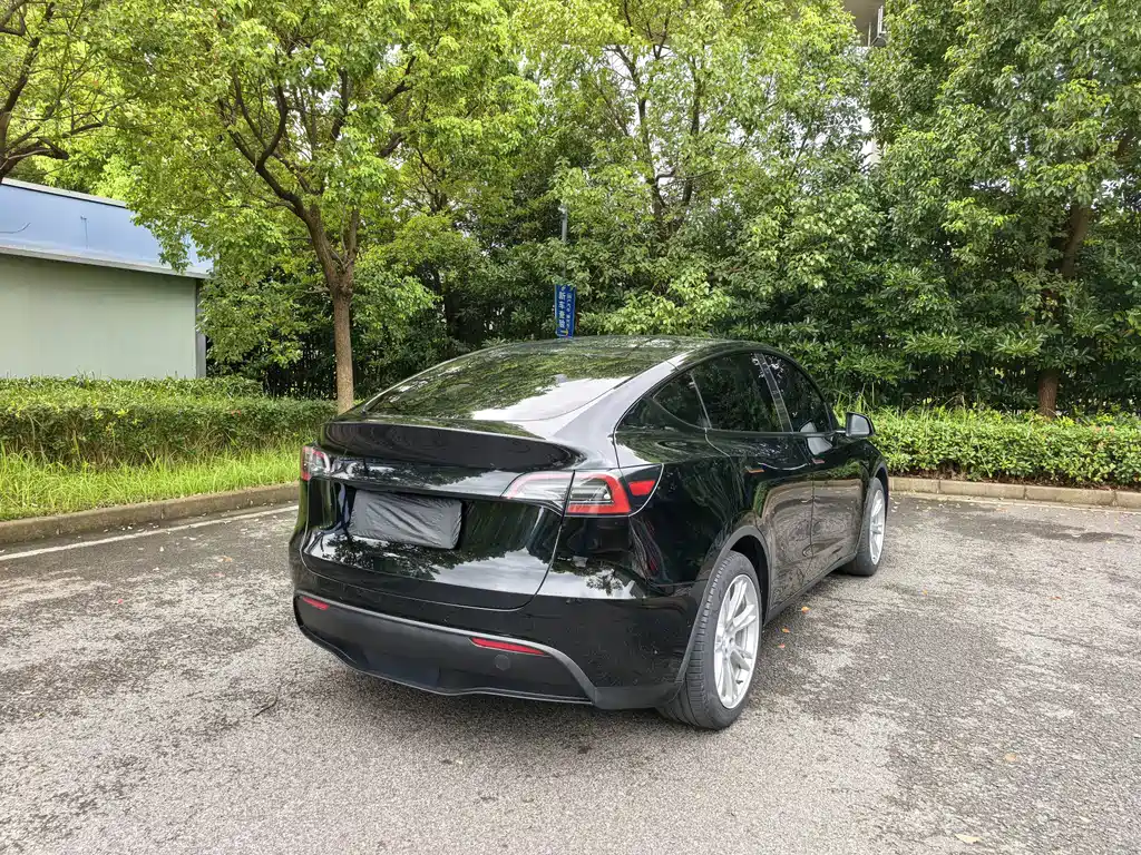 Tesla Model Y — миниатюра 6