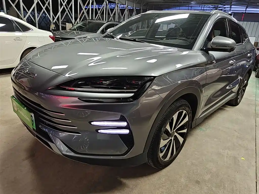 Byd PLUS New Energy 2024