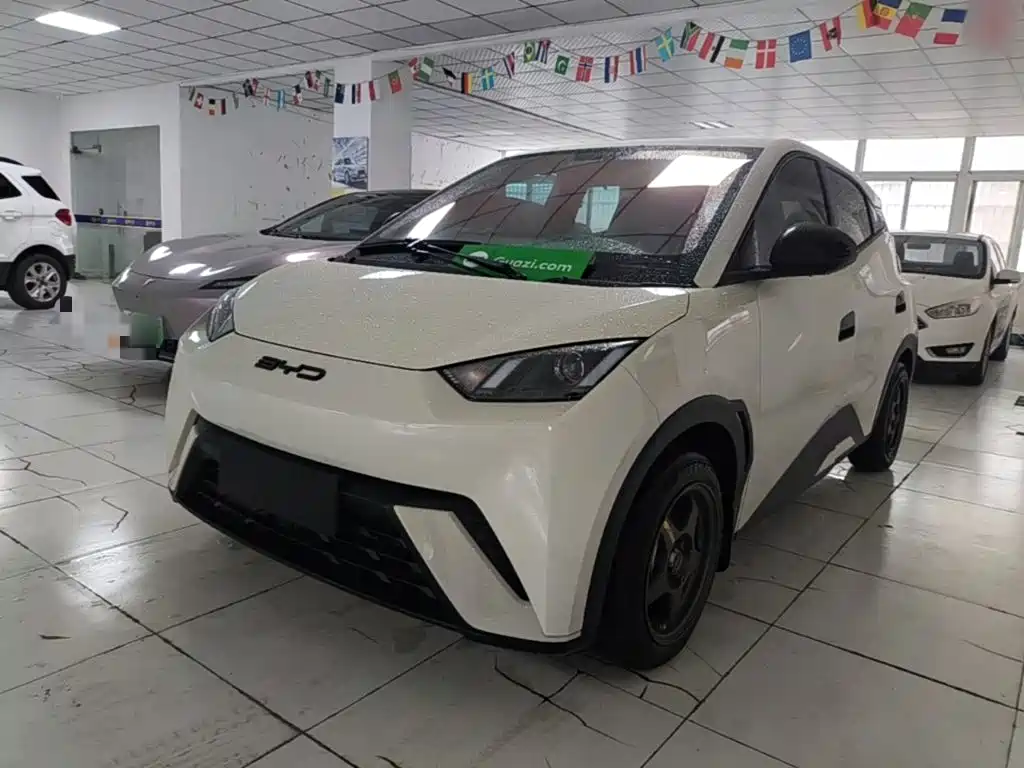 BYD Seagull