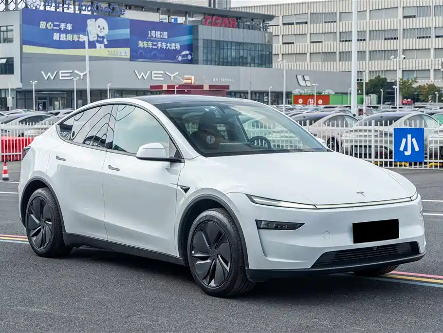 Tesla Model Y — миниатюра 3