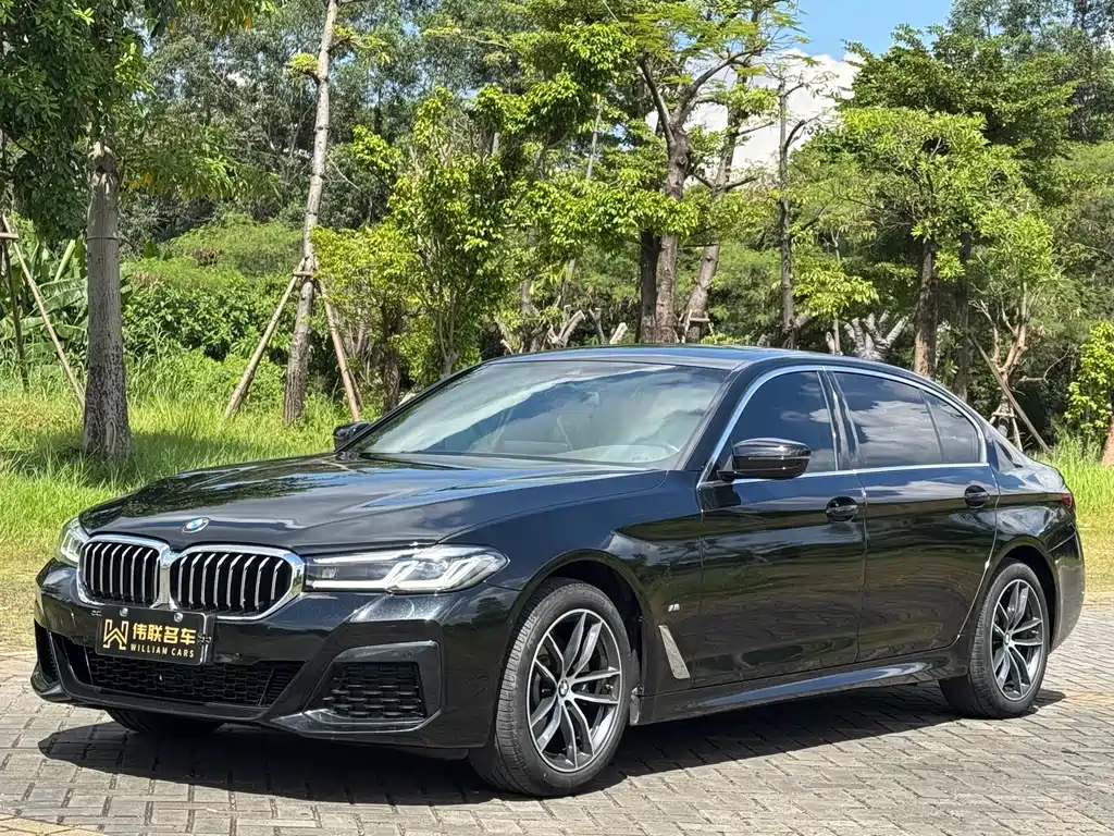 BMW 5 SERIES