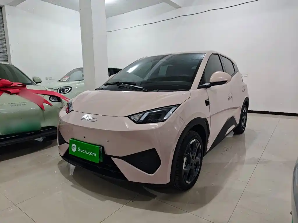 BYD Seagull