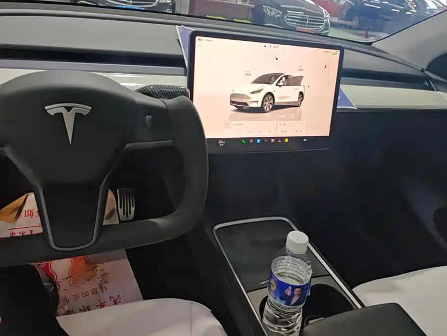 Tesla Model Y — миниатюра 12