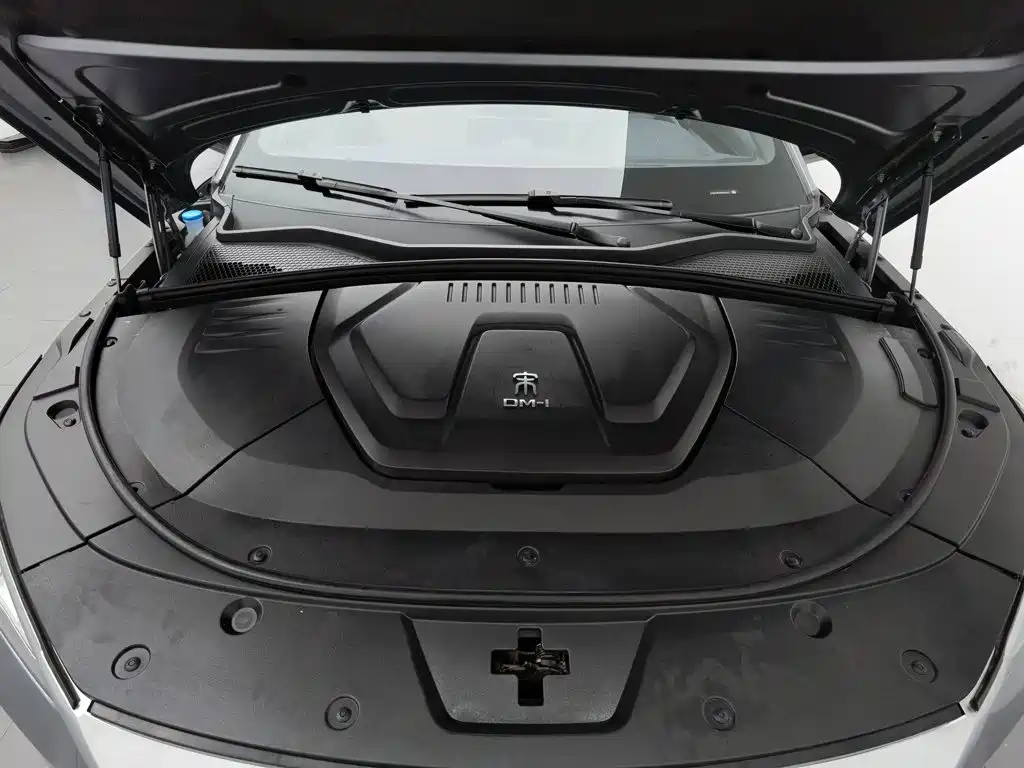 BYD PLUS New Energy — миниатюра 6