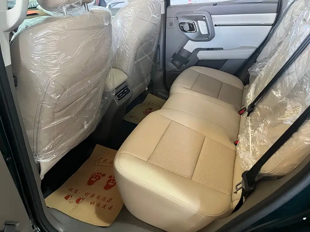 HAVAL SECOND GENERATION BIG DOG NEW ENERGY