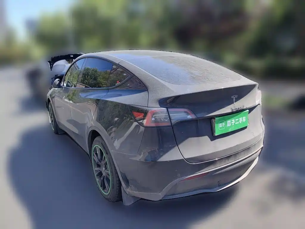 Tesla Model Y — миниатюра 24