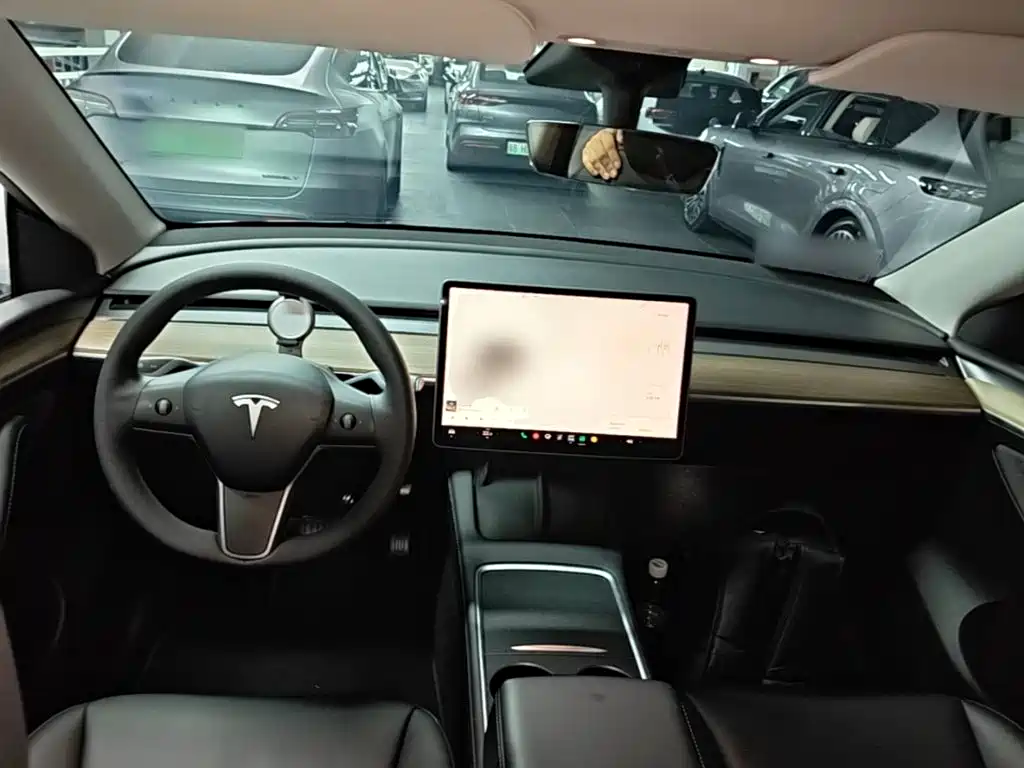 Tesla Model Y — миниатюра 10