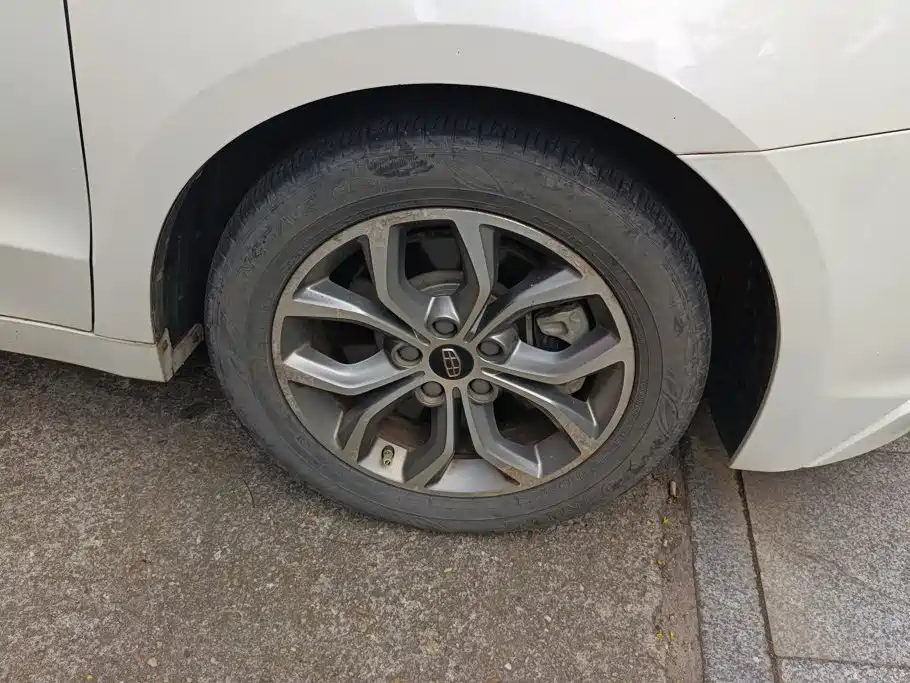 Geely Borui — миниатюра 6