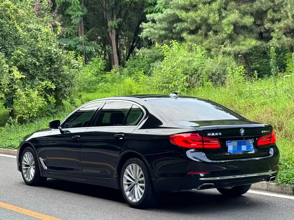 BMW 5 Series 5 2018 530Li Lead Luxury