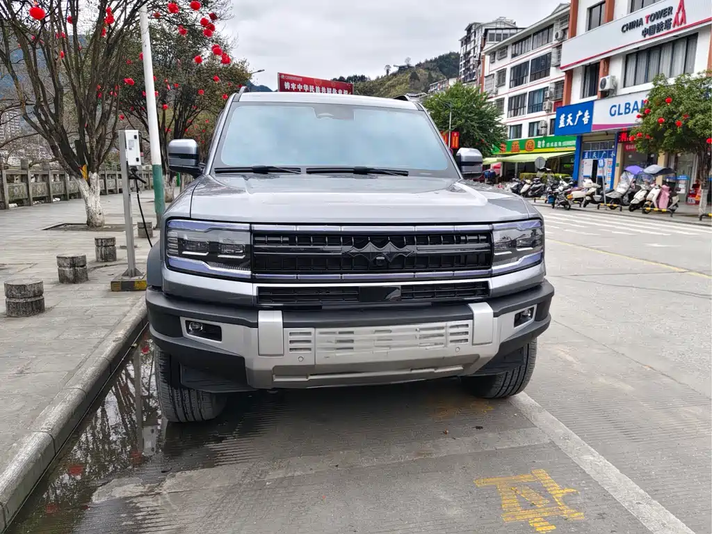 FANG CHENG BAO LEOPARD 5