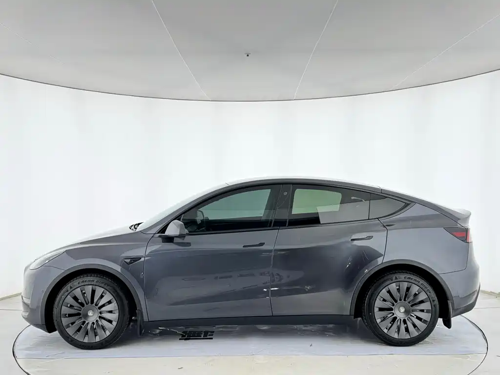 Tesla Model Y — миниатюра 3