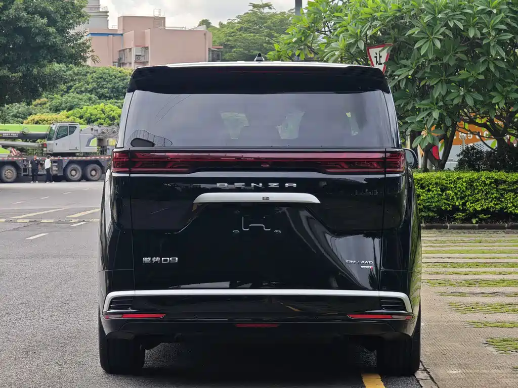 Denza Denza D9 — миниатюра 5
