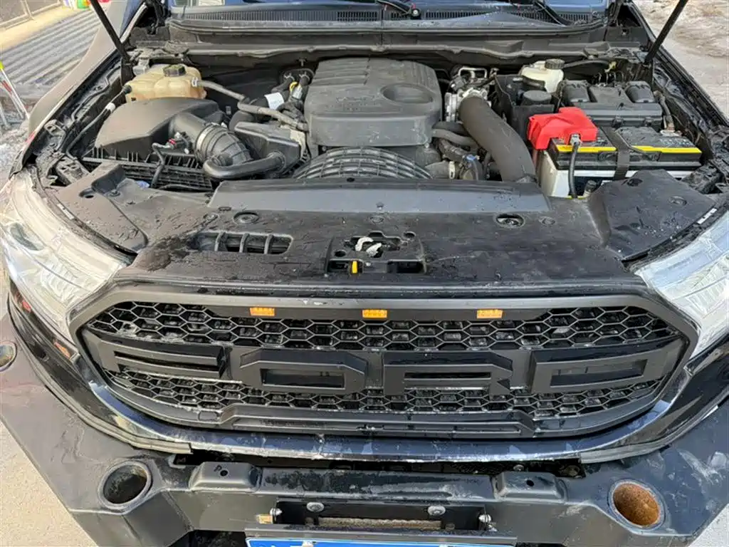 Ford Everest 2016 2.2T MT Luxury