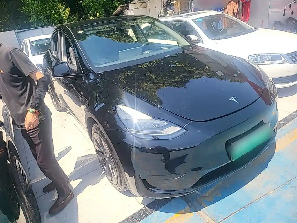 Tesla Model Y — миниатюра 4