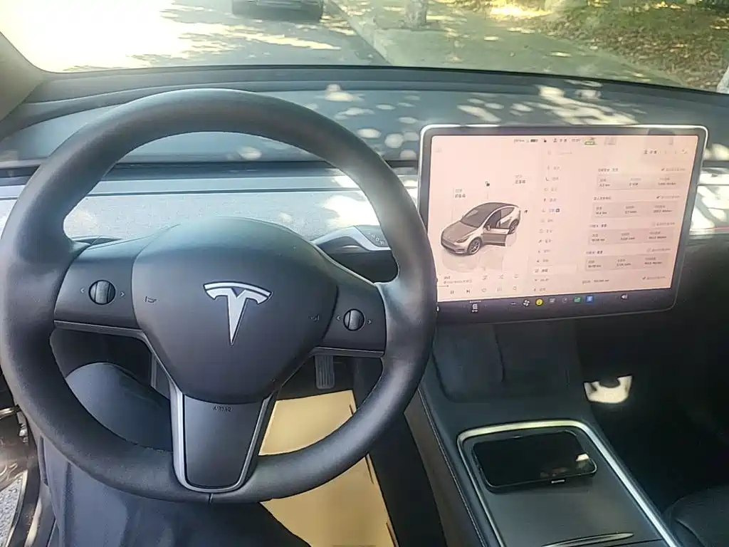 Tesla Model Y — миниатюра 11