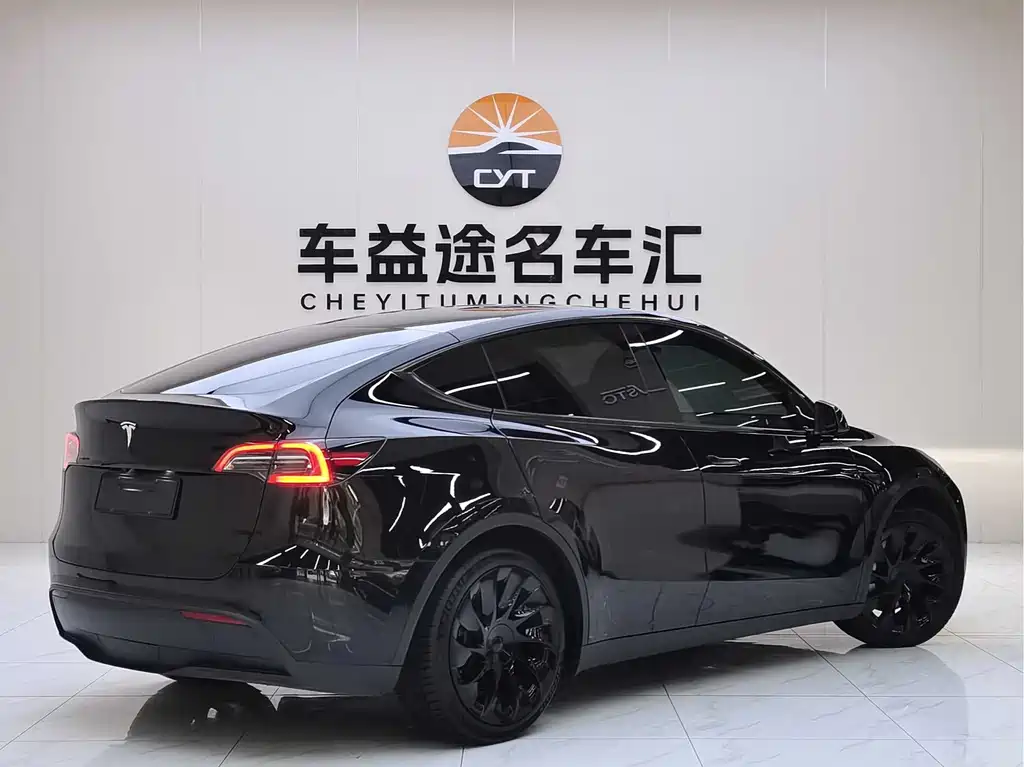 Tesla Model Y — миниатюра 5