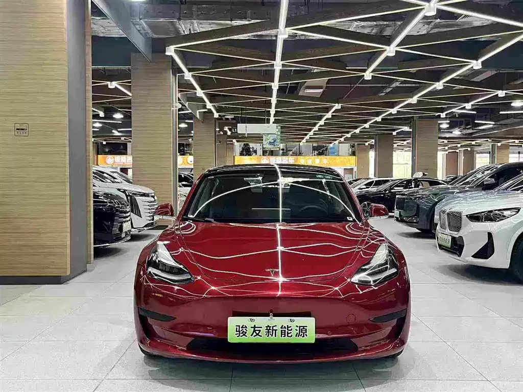Tesla Model 3 — миниатюра 11