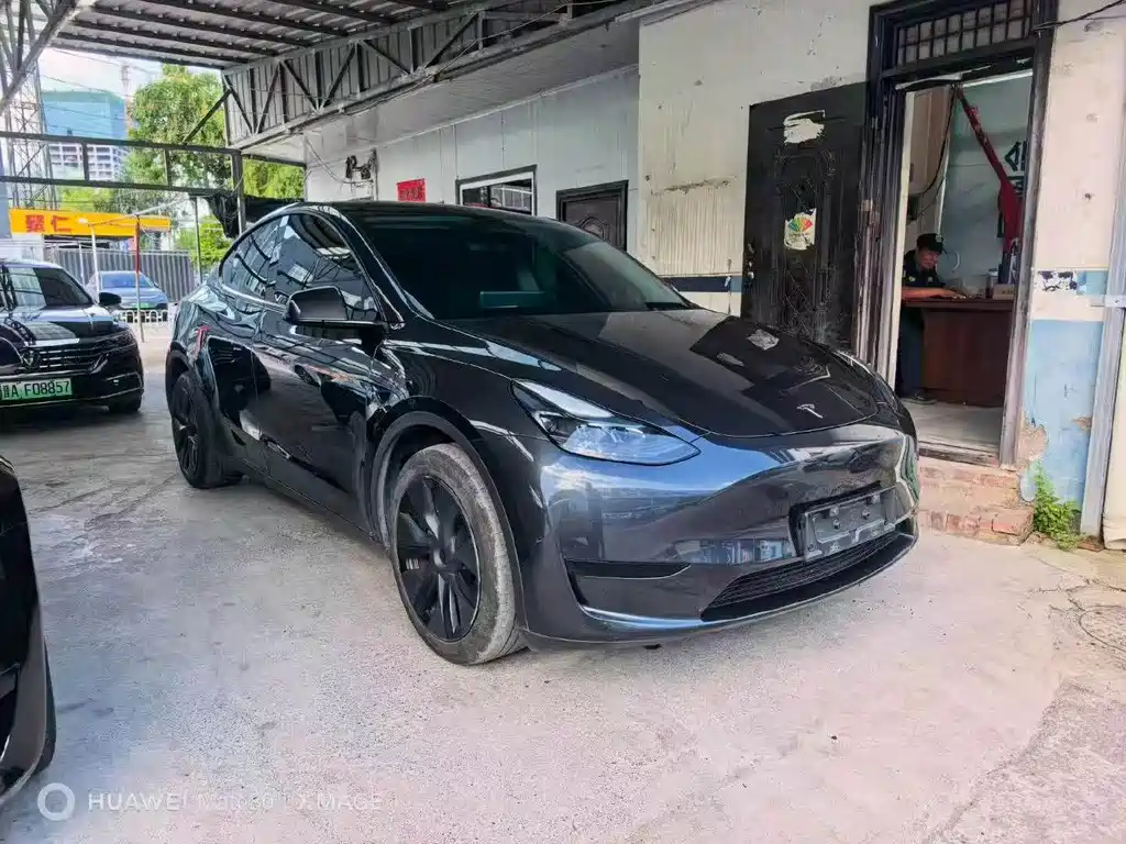 Tesla Model Y — миниатюра 3