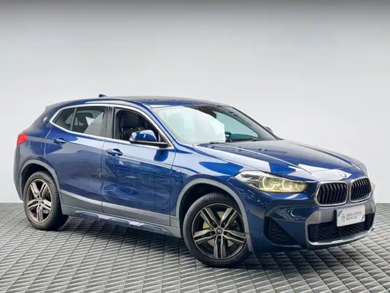 BMW X2 2020 sDrive25i Lead M