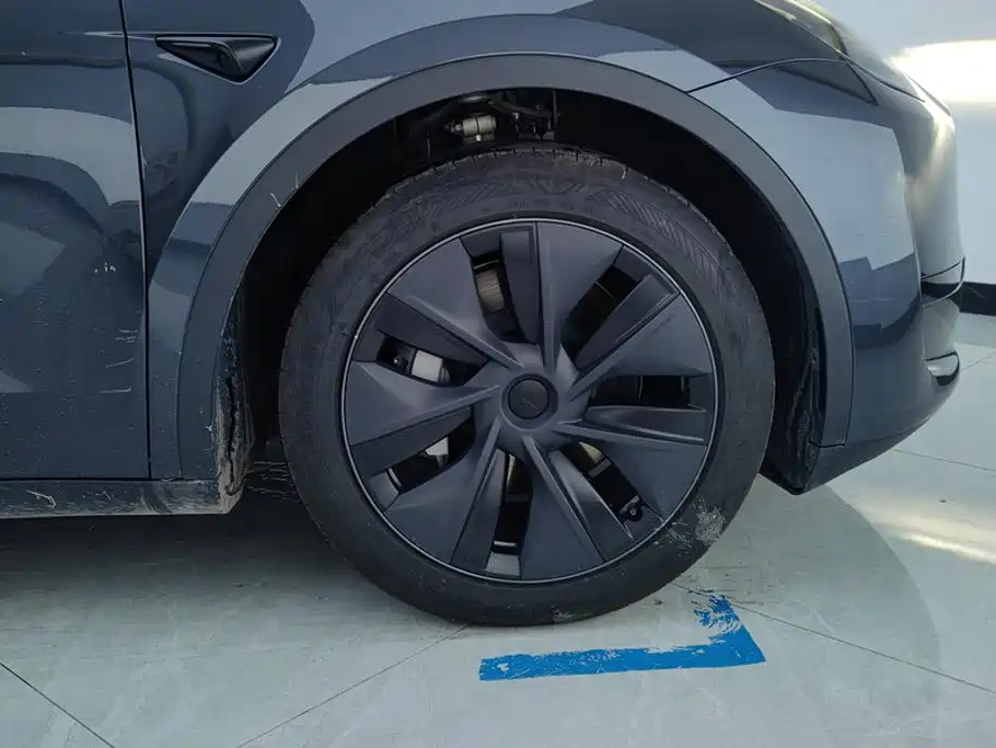Tesla Model Y — миниатюра 6