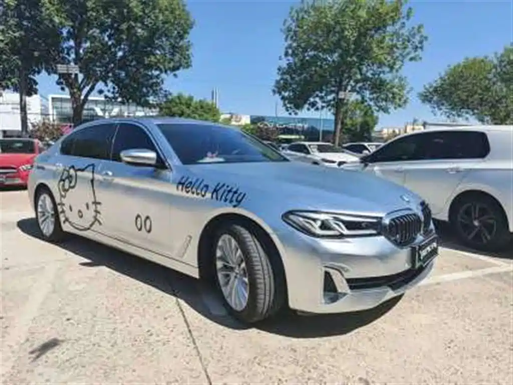 BMW 5 Series New Energy — миниатюра 2