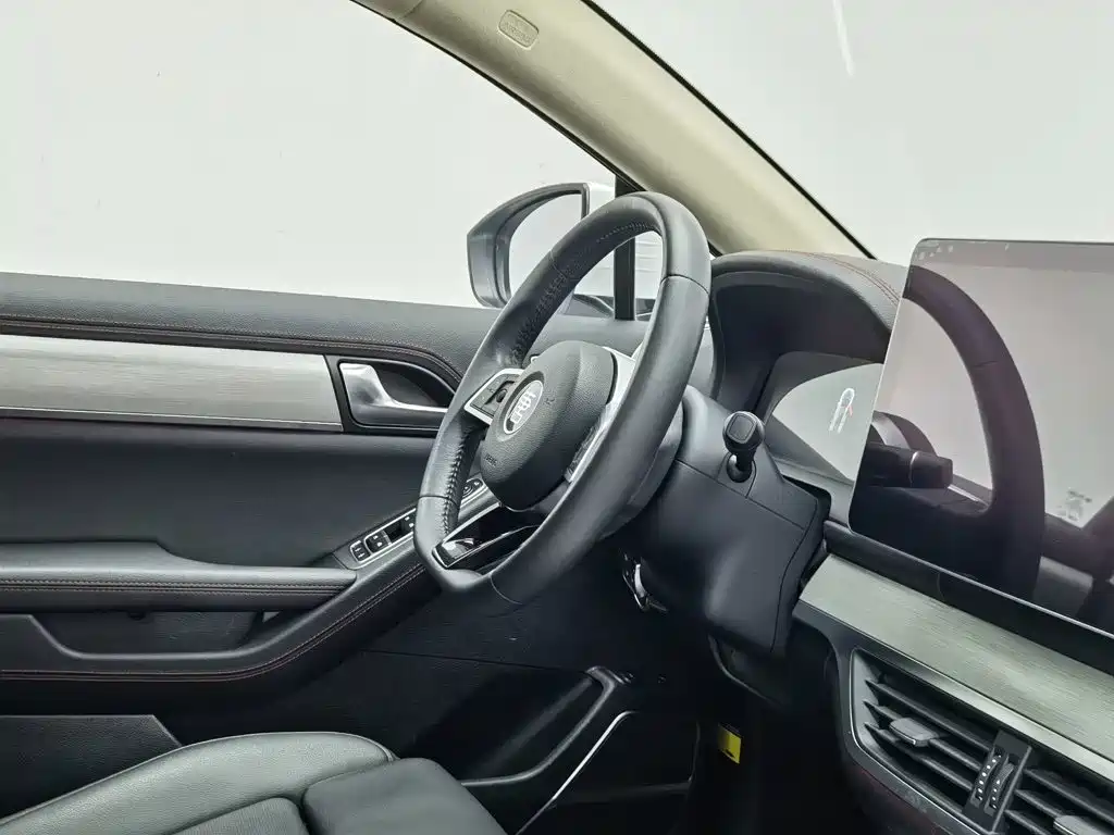 BYD Tang New Energy — миниатюра 22
