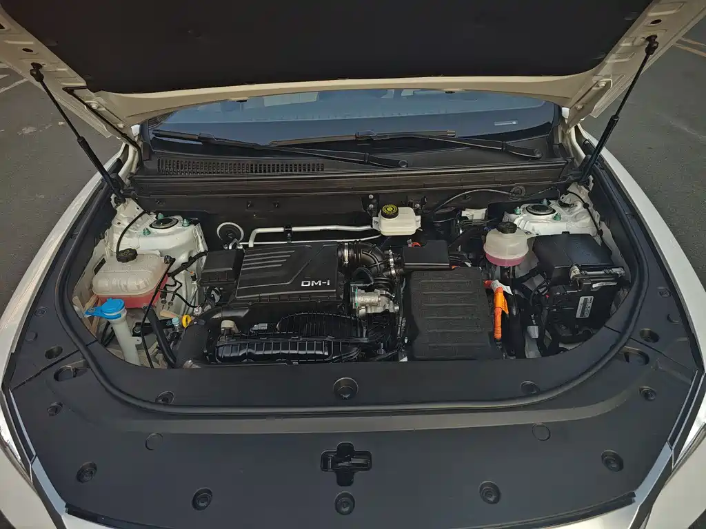 BYD SONGJIANG NEW ENERGY