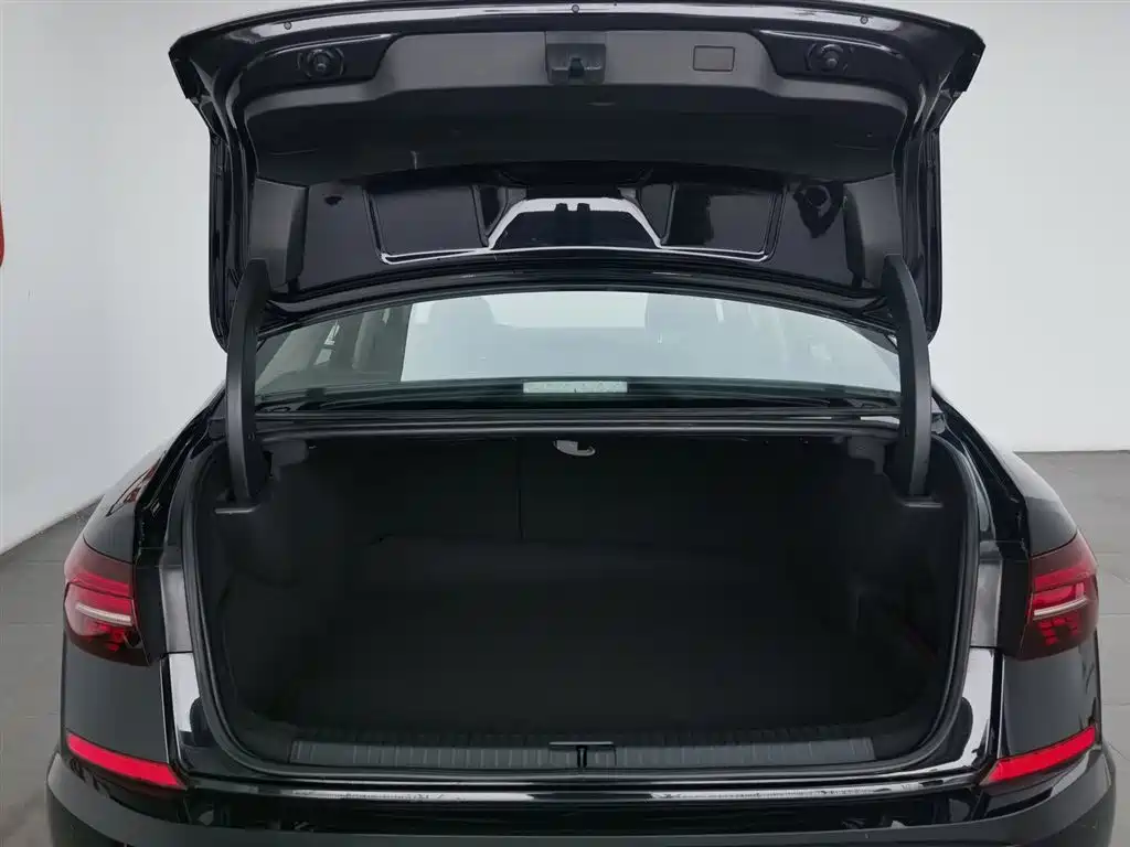 VOLKSWAGEN PASSAT NEW ENERGY