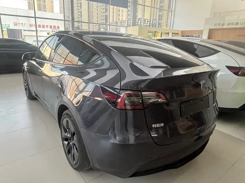 Tesla Model Y — миниатюра 8