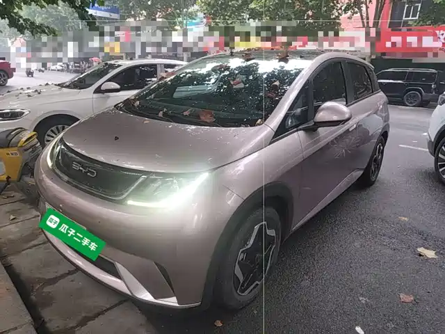 BYD Dolphin