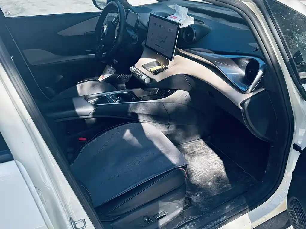 BYD Dolphin 2023 420km Fashion