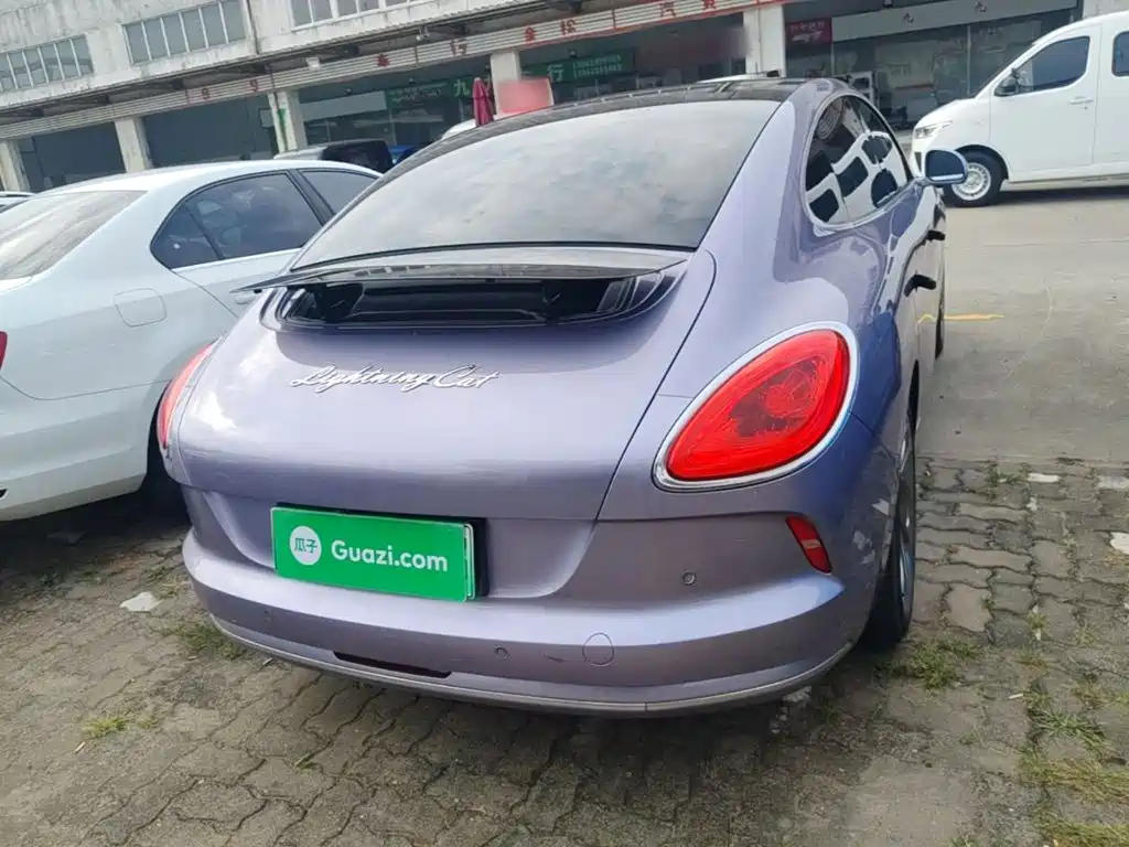 Ora Ora Lightning Cat — миниатюра 6