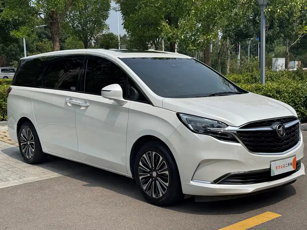 Buick GL8 — фотографии объявления, Фото 4
