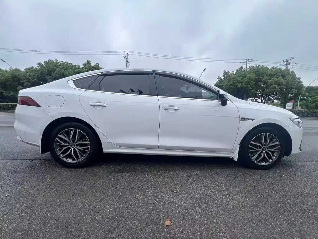BYD Qin Plus PLUS 2024 DM-i 55KM Lead