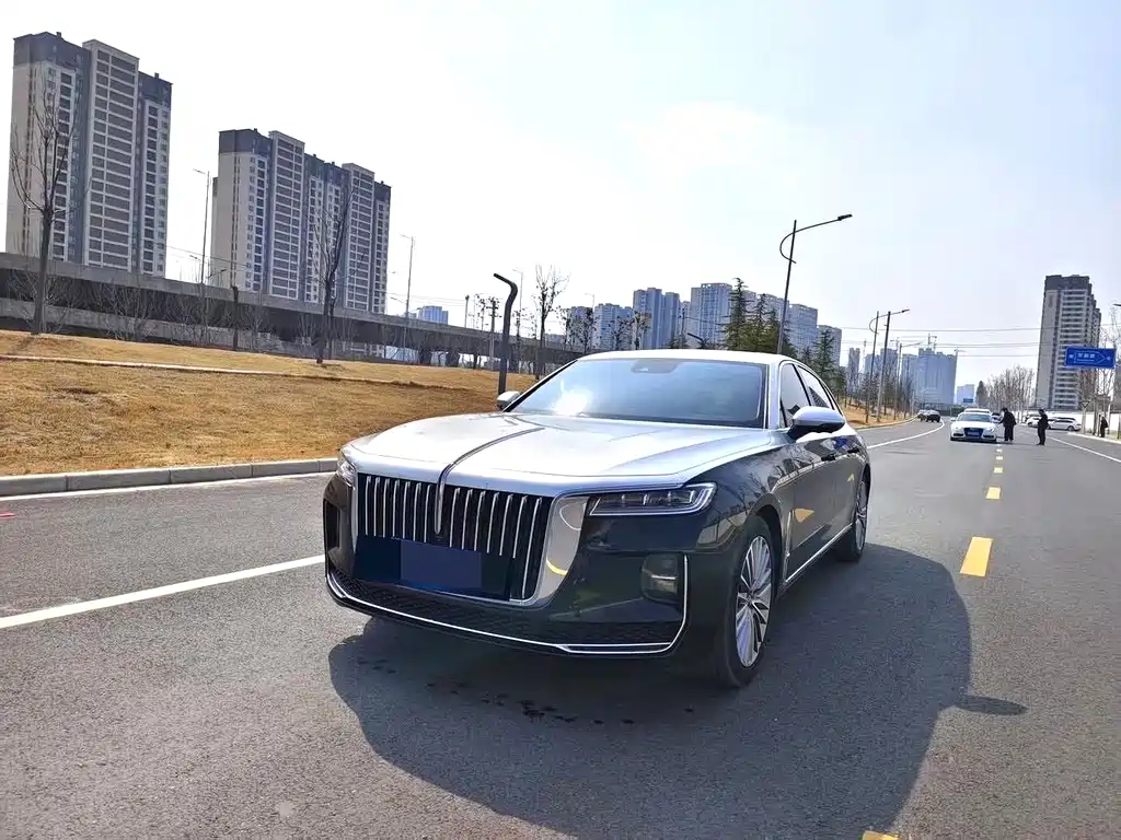 Hongqi Hongqi H9 2021